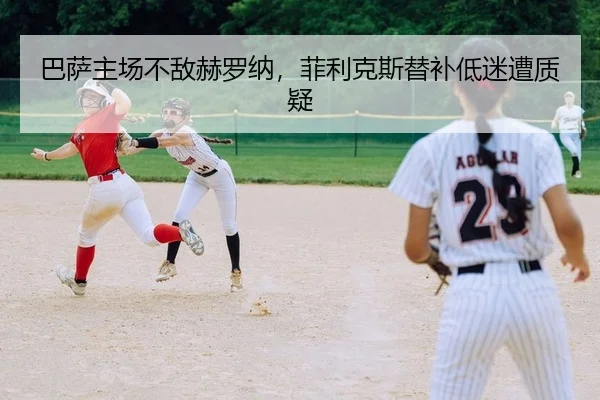 ba-sa-zhu-chang-bu-di-he-luo-na-fei-li-ke-si-ti-bu-di-mi-zao-zhi-yi-2-827.jpg