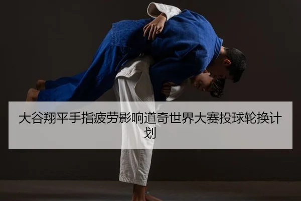 da-gu-xiang-ping-shou-zhi-pi-lao-ying-xiang-dao-qi-shi-jie-da-sai-tou-qiu-lun-huan-ji-hua-2-978.jpg